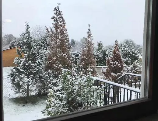 Affittacamere Western Mörfelden-Walldorf